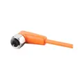 Ifm Electronic Anschlusskabel mit Buchse EVT066 Sensor-Aktor-Kabel