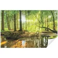 Wallarena Fototapete Natur Vlies, Wohnzimmer, glatt, 200x140cm bunt 2.0 m x 1.4 m