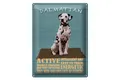 Blechschild Spruch 30x40 cm Dalmatian Hund active and easy Deko Schild