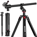 NEEWER 90 Zoll hohes horizontales Kamerastativ Einbeinstativ mit Kugelkopf, Metall DSLR Video Reisestativ, Arca Typ Schnellwechselplatte und umgekehrten Beinen, maximale Belastung 10kg / 22lbs, TP63