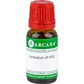 Lycopodium LM 18 Dilution