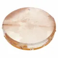 Shaman Drum Goat Skin Shorn 40