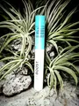 Catrice Super Boost Lash & Brow Serum Wimpern Augenbrauen  Hyaluron ohne Parfum