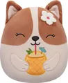 Jazwares SQJW7519A; SQCR05393 - Squishmallows Regina der Corgi mit Ananasgetränk - 19 cm (7,5")