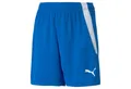 PUMA Sporthose teamLIGA Shorts blau Kinder