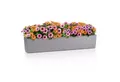 Lechuza® Balkonkasten BALCONERA Stone 100 steingrau (Komplettset)