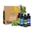 Allgäuquelle Bio Sauna Aufgussmittel Set 4x100ml Eukalyptus, Zirbe, Minze, Lemon