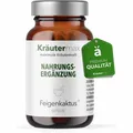 Kräutermax Feigenkaktus 500 mg plus Vitamin B1, B2, B6, B12, C Kapseln