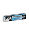 EQUISTRO® Energy Booster | Ergänzungsfuttermittel für Pferde | Hochkonzentrierte Nährstoffe für Ausdauer & Leistungsfähigkeit | Premium Qualität | 20g
