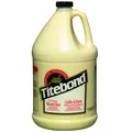 Titebond Extend Holzleim Gallon 3,8 L
