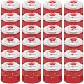 Evocamp Gaskartusche 24 Stück 300g Butan Propan Schraubventil für Camping Weber Q100
