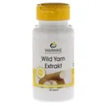 WILD YAM Extrakt Kapseln 100 St