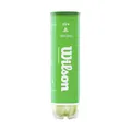 Wilson Tennisbälle Starter Play Green für Kinder und Jugendliche, Gelb, 4er Dose, WRT137400, Yellow, 6.5