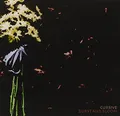 Burst and Bloom