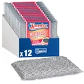Spontex Brillant Reinigungspad, 12er Pack, für empfindliche Oberflächen, kratzfrei und Lange haltbar, Silber und pink