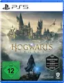 Hogwarts Legacy (PlayStation 5)