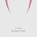 Born Pink (Kit Album - Premium)