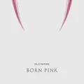 BORN PINK | CD | Zustand gut