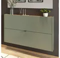 Lomadox Schuhschrank ABERDEEN-01 mit 2 Klappen, grün mit Eiche, 140cm breit