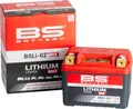 BS Battery Batterie Lithium-Eisen-Phosphat - BSLi-02 MAX