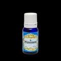 Bitterstern Kräuterbitter Lösung, 10 ml Lösung