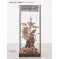 Opus Magnum von Anselm Kiefer/ Cathrin Klingsöhr-Leroy / Schirmer /Mosel Verlag Gm / Buch