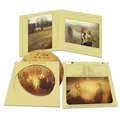 Pooh Un Po' Del Nostro Tempo Migliore (50 Ann.) Picture Disc Limitat (US IMPORT)