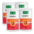 Gelatine Gold extra 4er-Packung - 2100 g