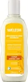 WELEDA Replenish & Care Shampoo Hafer 6 x 190 ml
