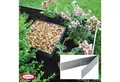 Bellissa Rasenkante Bellissa Rasenkante Square verzinkt 30x30cm H13cm Beetumrandung Beetei