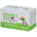 Brassica PLUS Effektive Brokkolisprossen Sulforaphan Kapseln