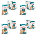 ROYAL CANIN AGEING 11+ Jelly | 4er Pack | 4 x 12 x 85 g | Nassfutter für Senior Katzen ab dem 11. Lebensjahr | Formel mit dem HealthyAge7™ Complex | Stückchen in Gelee