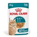 Royal CANIN AGEING 11+ Gelatine | 12 x 85 g | Nassfutter für Seniorenkatzen ab 11 Jahren | Formel mit dem HealthyAge7-Komplex | Köstliche Gelatinestücke