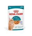 Royal Canin Feline Ageing 11+ in Gelee | 12x 85g