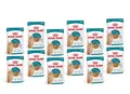 ROYAL CANIN Ageing 11+ Jelly Stücke in Gelee ältere Katzen ab 11 Jahren 12x85g