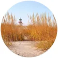 K&L Wall Art Vliestapete "Runde Vliestapete", Leuchtturm Strand Schilf, mehrfarbig, matt - bunt