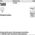 Ringschraube DIN 580 M6 C 15 E 25 Stück