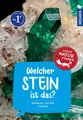 Kinderbuch Welcher Stein ist das? Kindernaturführer 85 Mineralien, Gesteine, Foss Rupert Hochleitner