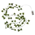 Star Trading 729-84 LED-Lichterkette "Ivy" Efeublätter, Kunststoff, grün, 20 ww LED, 5x220 cm, Batterie, Timer, Vierfarb-Karton - Grün