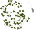 Star Trading LED-Lichterkette "Ivy" Efeublätter, grün, 20 warmweiße LEDs, 5x220 