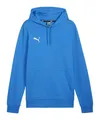 Herren Fußball-Sweatshirt mit Kapuze TEAMGOAL CASUAL HOODY S