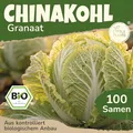 Little Plants BIO Chinakohl Samen 100 China Kohl Granaat Gemüsesamen Samenfest für Gemüsegarten Gemüse Samen Hochbeet