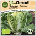 Chinakohl Samen (BIO) - 100 Samen Gemüsesamen Chinakohlsamen Granaat