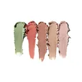 Catrice Farbrezept Anti-Augenbrauen Multi Correctrice 5 Teintes