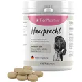 EXVital® Haarpracht Tabletten - hochdosiertes Biotin Komplex für Hunde