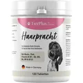 Haarpracht Tabletten - hochdosiertes Biotin Komplex für Hunde