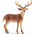 Schleich WILD Life, Weißwedelhirsch 14818, detailgetreue Tierfiguren, Zoo Spielzeug, Geschenk für Jungen & Mädchen, Deko für Geburtstag oder Weihnachten, Spielfigur ab 3 Jahren, 11 x 5 x 10 cm