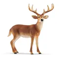 schleich 14818 White-tailed buck, from 3 years WILD LIFE - figurines, 11 x 5 x 1