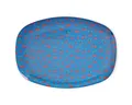 rice Teller Melamin Teller oval 30x22cm Snackteller Käseplatte