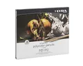 LYRA 2001240 Rembrandt Polycolor Künstler-Farbstifte, Holz, farbig Sortiert, 24 Stück (1er Pack)